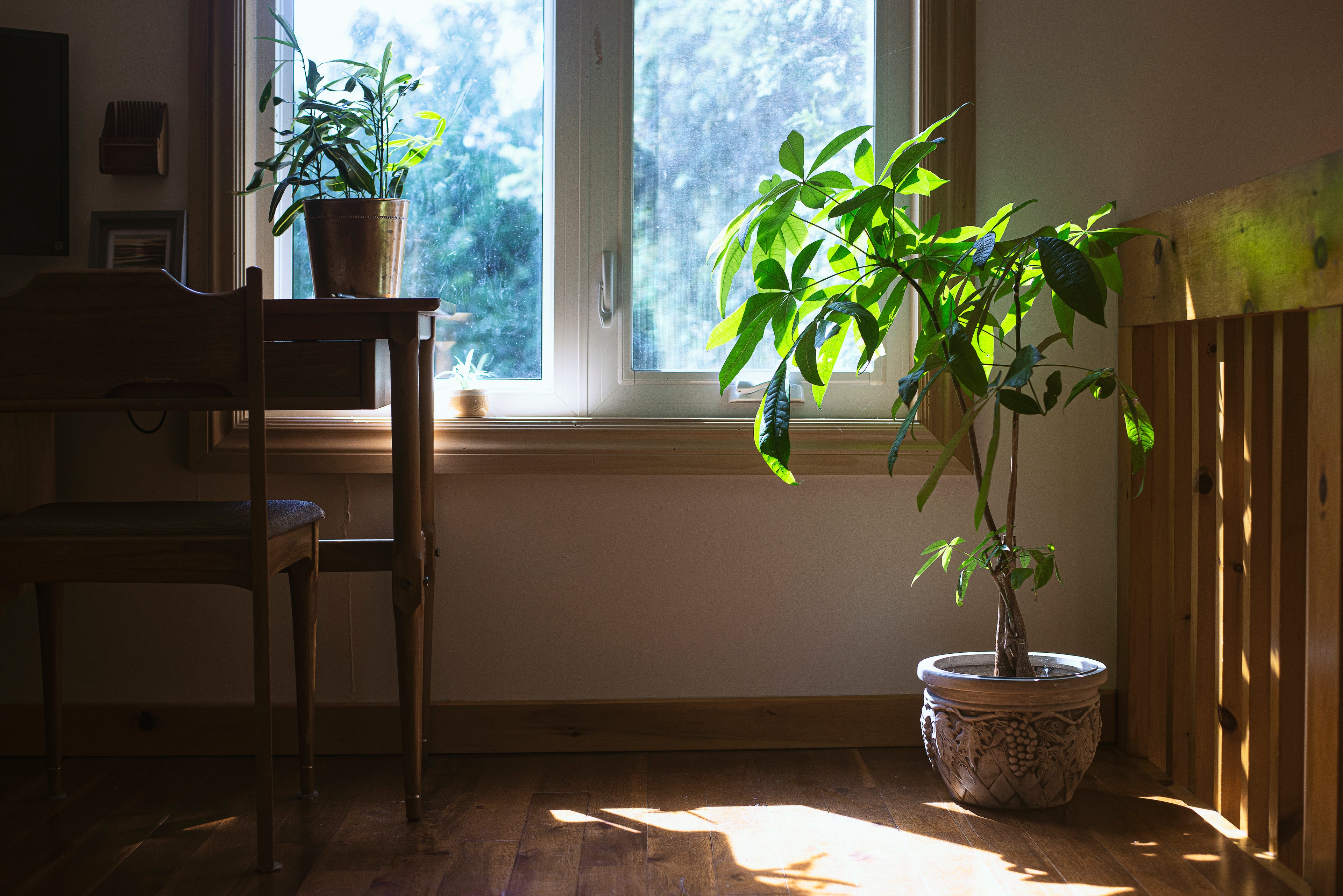 Bring Your Space to Life