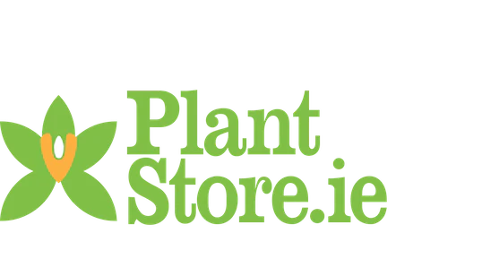 Plant Store